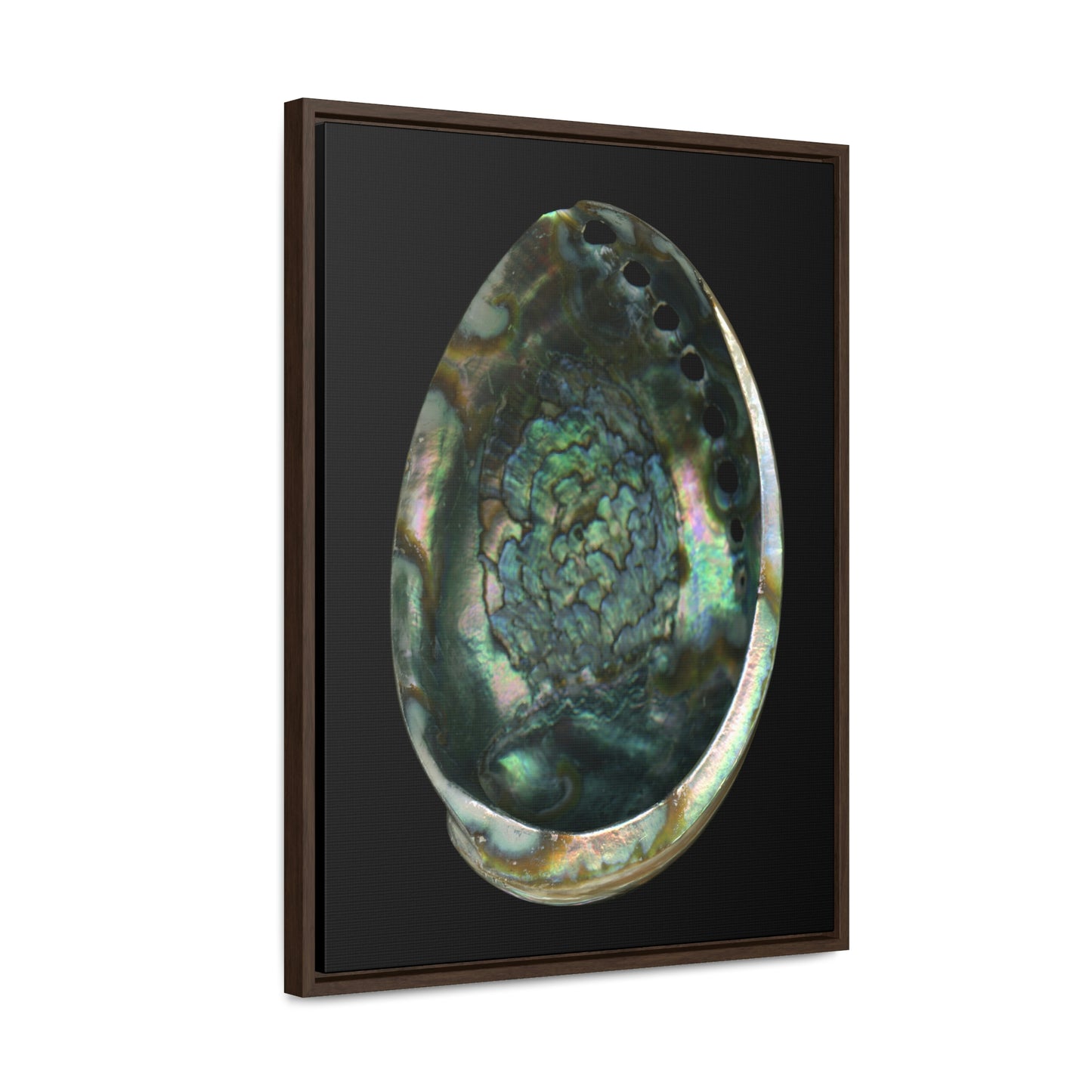 Abalone Shell Interior | Framed Canvas | Black Background