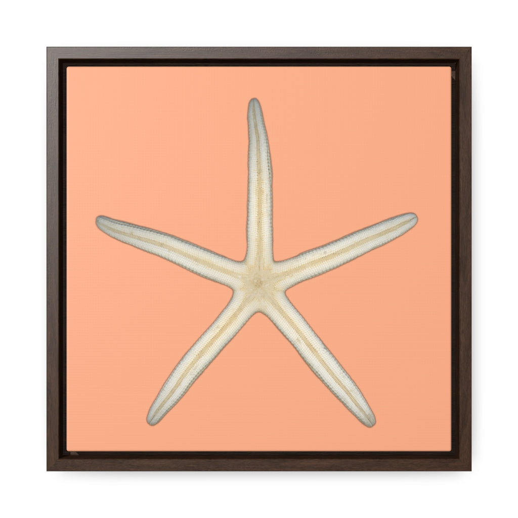 Finger Starfish Shell Bottom | Framed Canvas | Peach Background