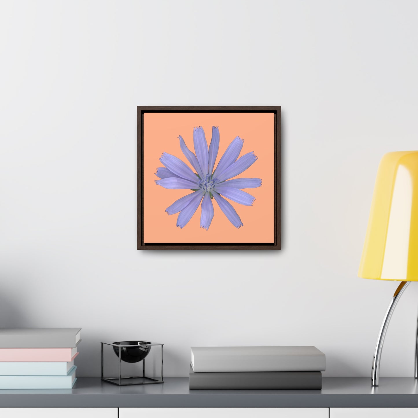 Chicory Flower Blue | Framed Canvas | Peach Background