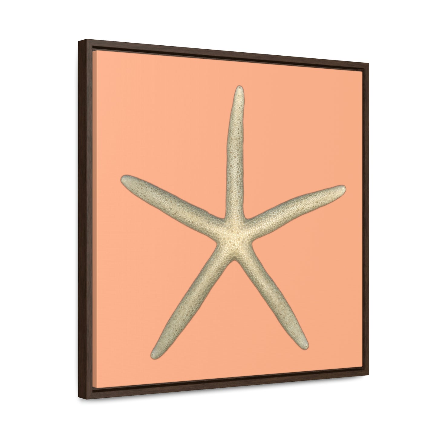 Finger Starfish Shell Top | Framed Canvas | Peach Background