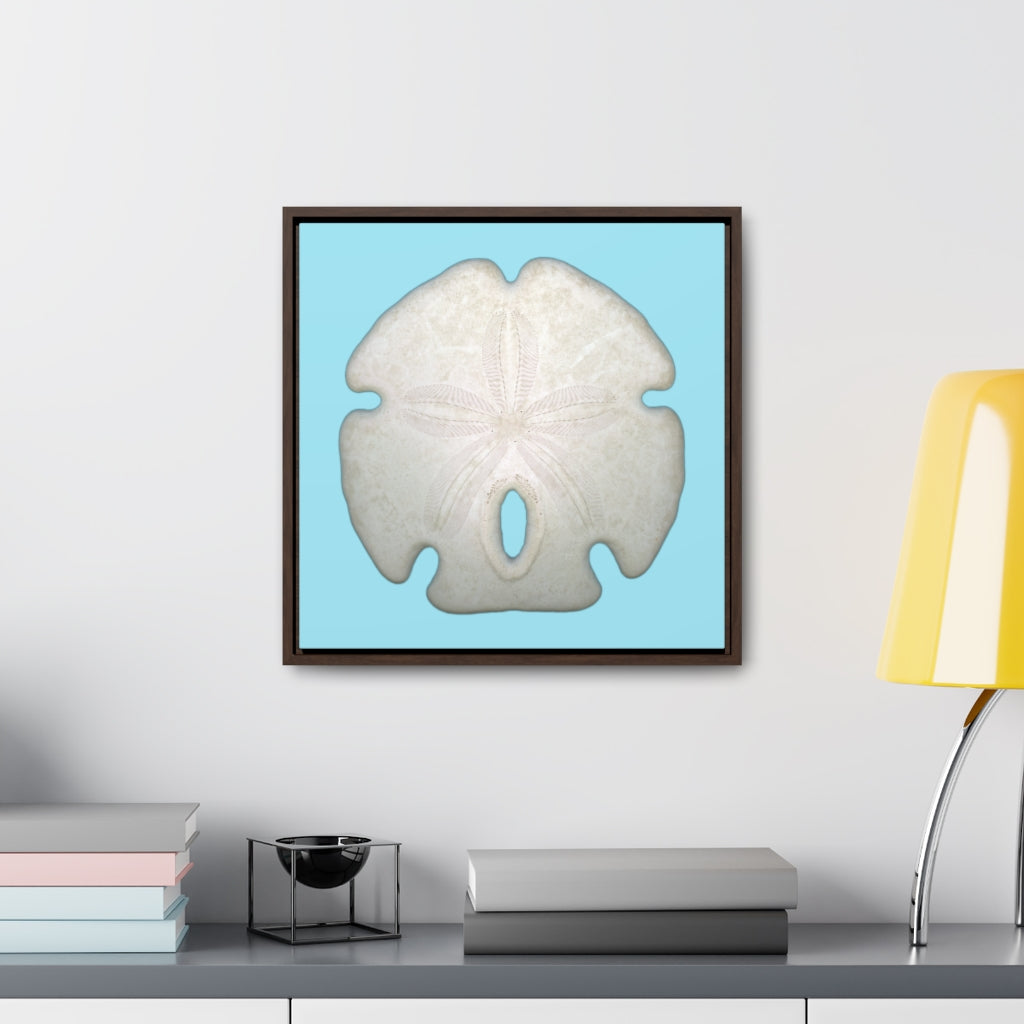 Arrowhead Sand Dollar Shell Top | Framed Canvas | Sky Blue Background