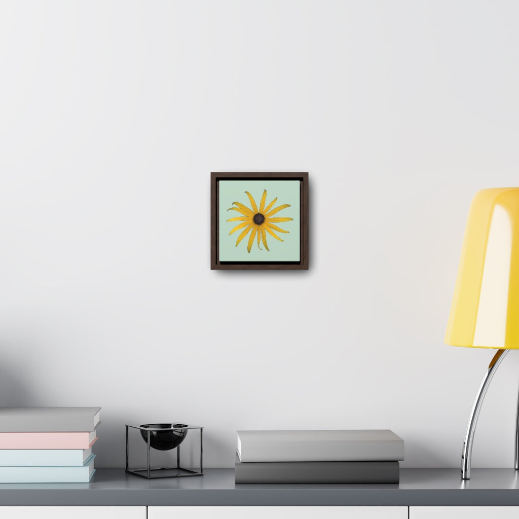 Black-eyed Susan Rudbeckia Flower Yellow | Framed Canvas | Sage Background
