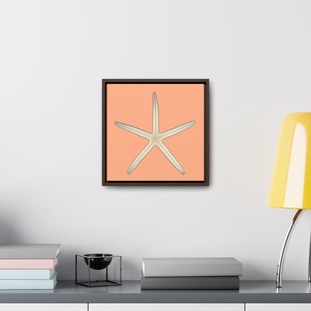 Finger Starfish Shell Bottom | Framed Canvas | Peach Background