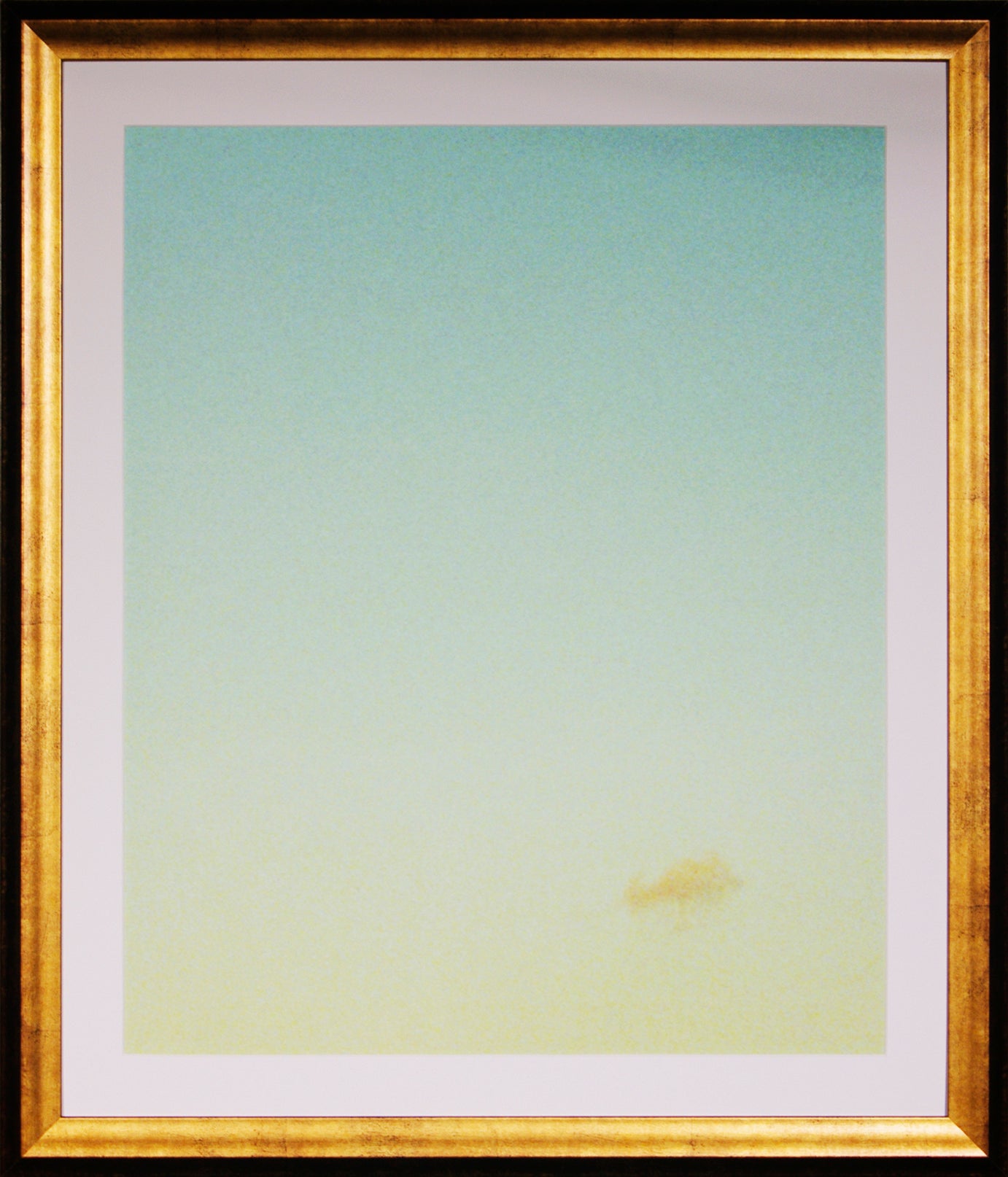 Colour Study 2 by Matteo