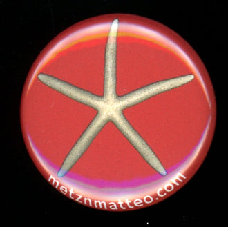 Finger Starfish Shell Top | Magnet | 1in
