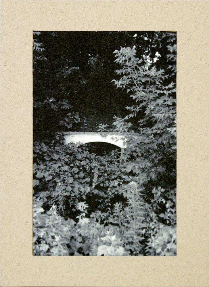 Three Rivers series, Gazebo behind O'Malley Law Office by Matteo