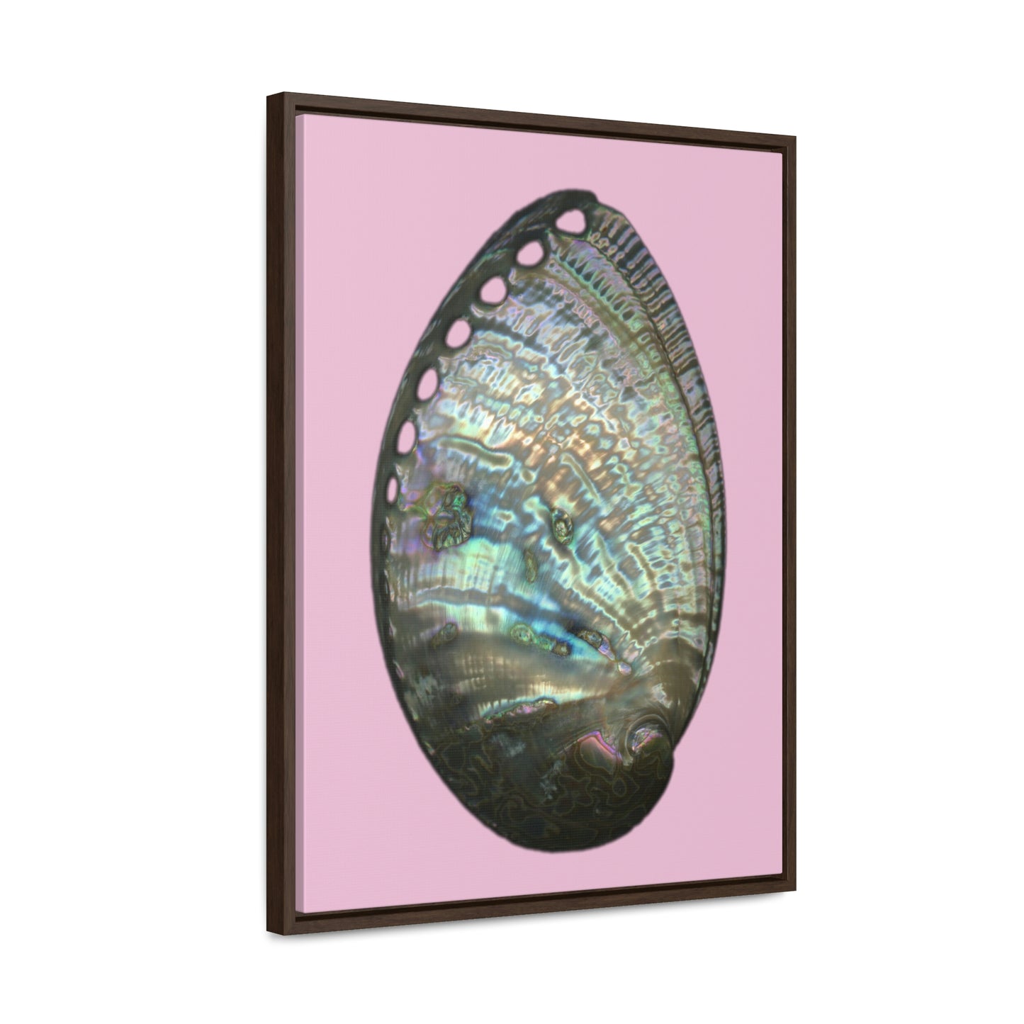 Abalone Shell Exterior | Framed Canvas | Orchid Pink Background
