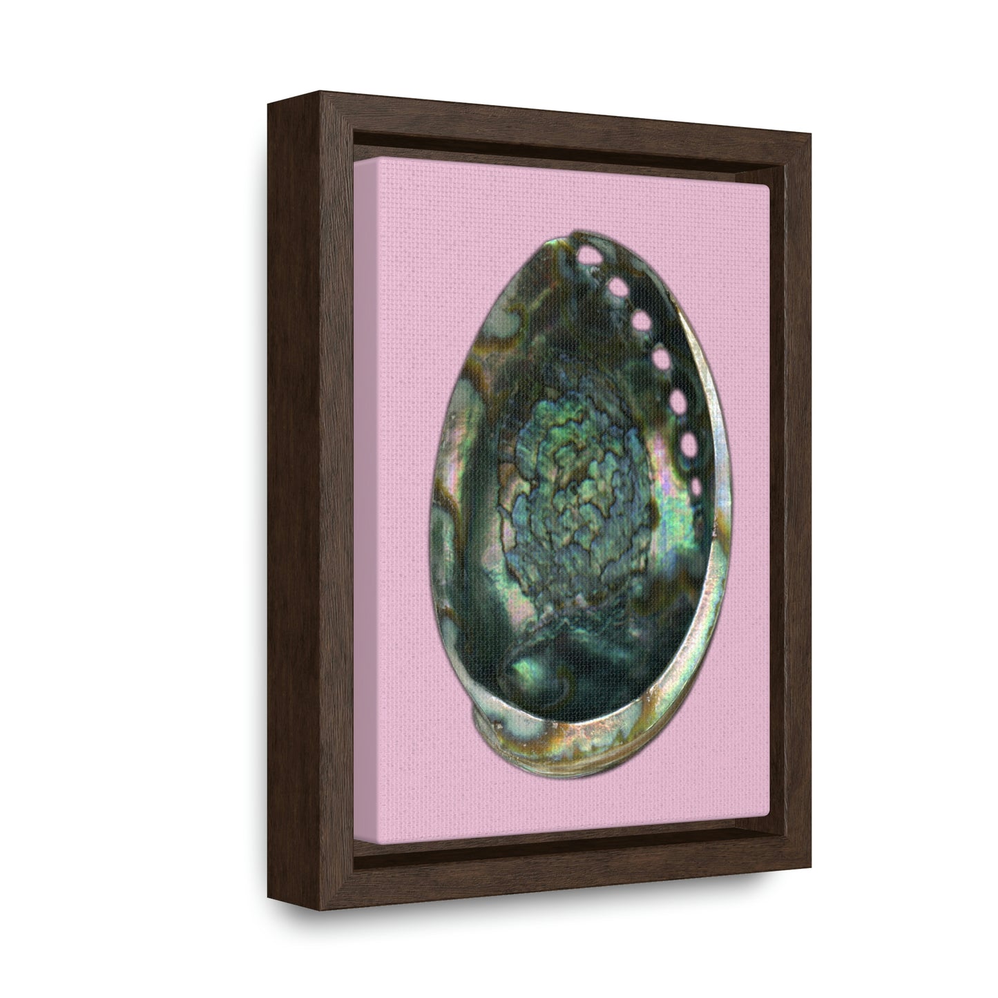 Abalone Shell Interior | Framed Canvas | Orchid Pink Background