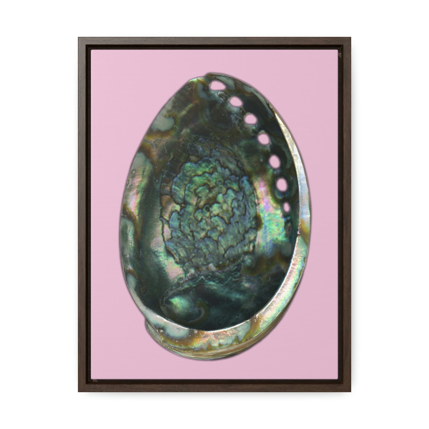 Abalone Shell Interior | Framed Canvas | Orchid Pink Background