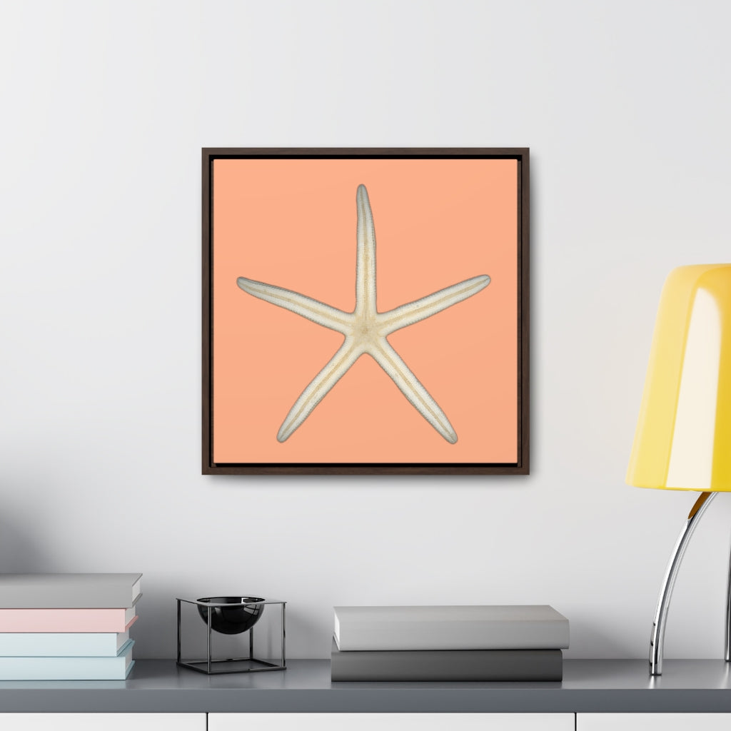 Finger Starfish Shell Bottom | Framed Canvas | Peach Background