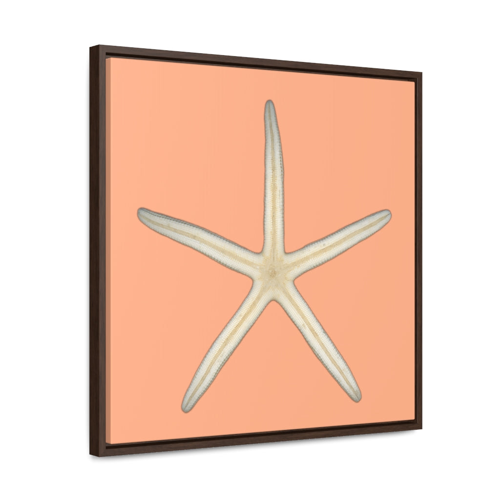 Finger Starfish Shell Bottom | Framed Canvas | Peach Background