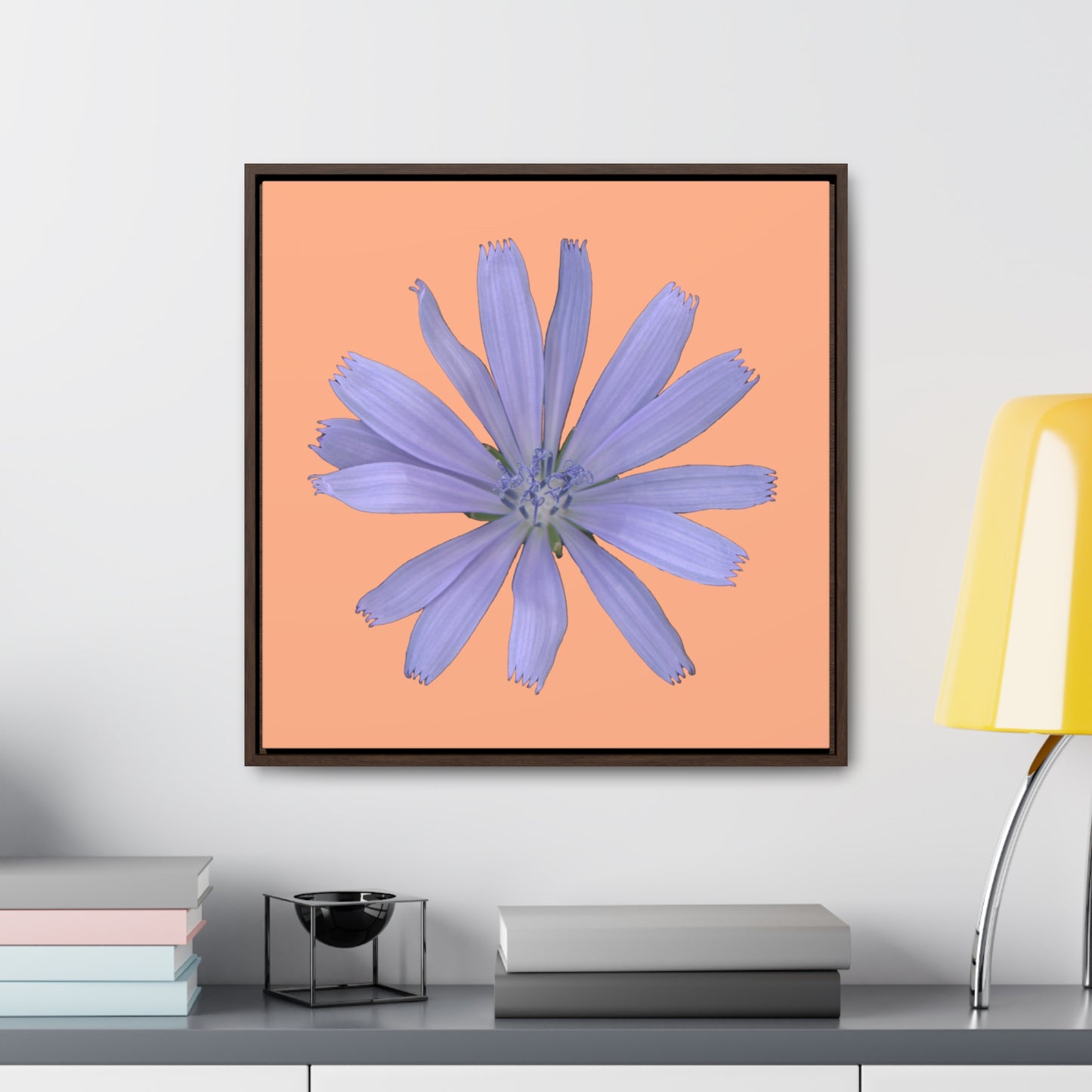 Chicory Flower Blue | Framed Canvas | Peach Background