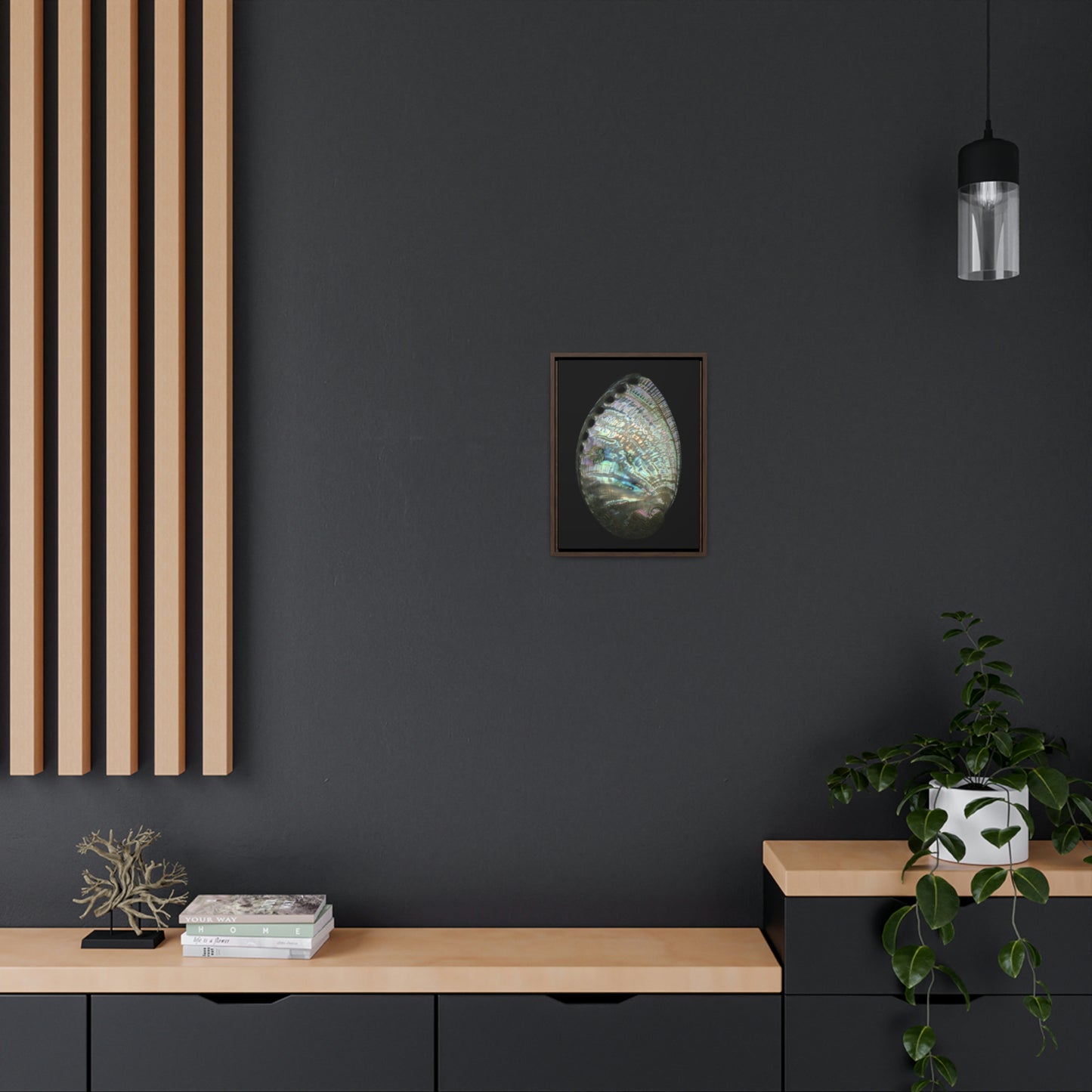 Abalone Shell Exterior | Framed Canvas | Black Background