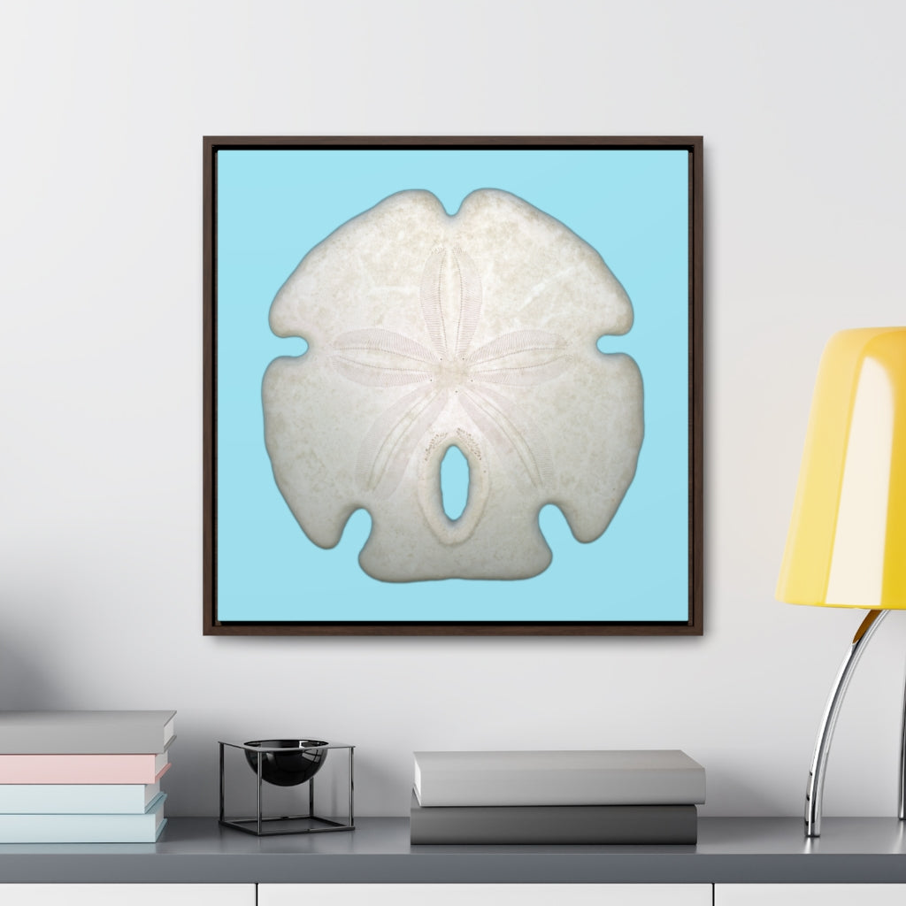 Arrowhead Sand Dollar Shell Top | Framed Canvas | Sky Blue Background
