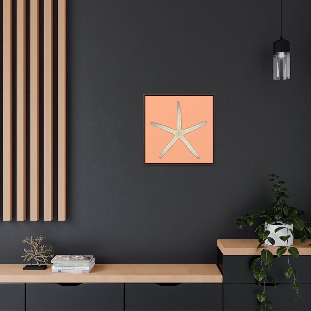 Finger Starfish Shell Bottom | Framed Canvas | Peach Background