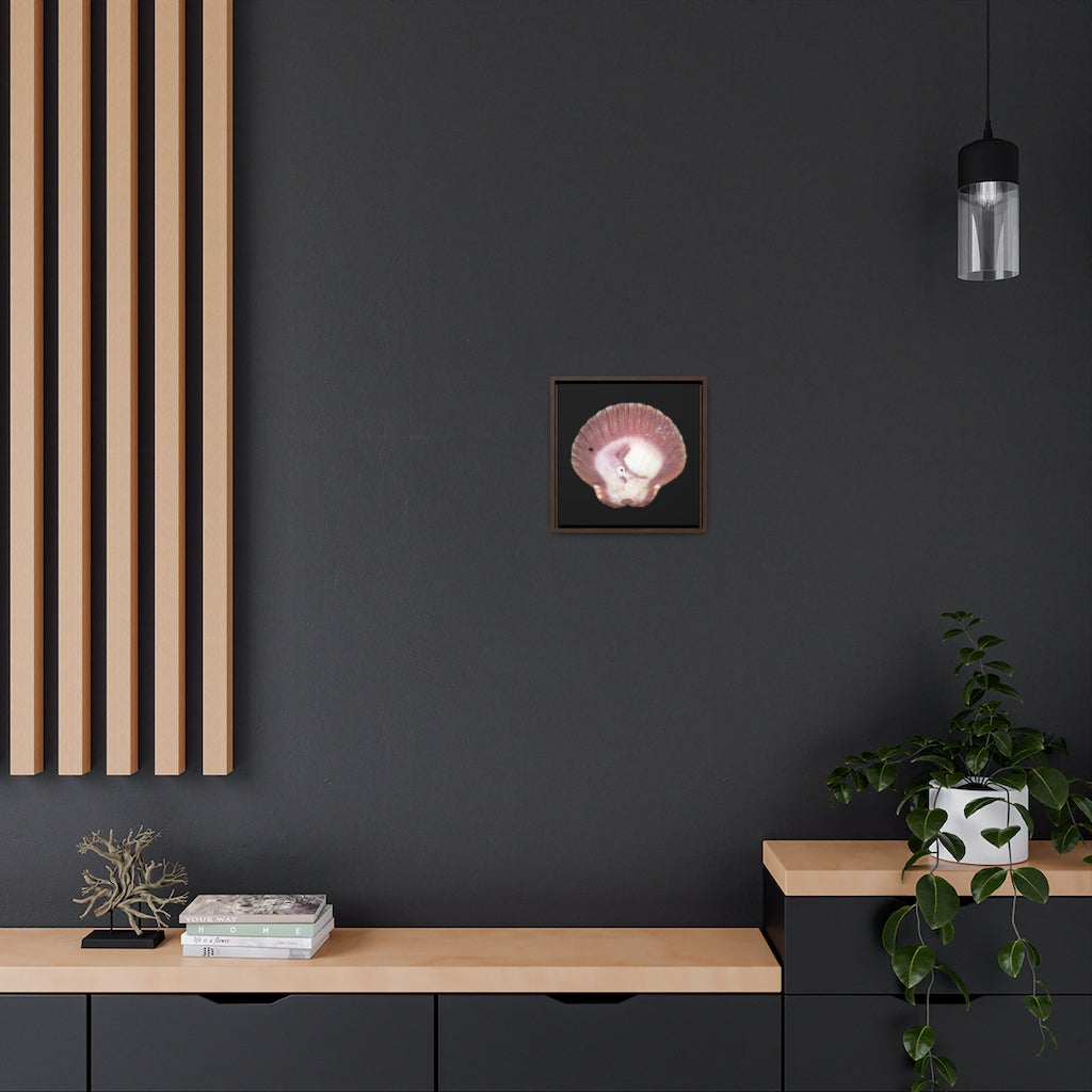 Scallop Shell Magenta Left Exterior | Framed Canvas | Black Background