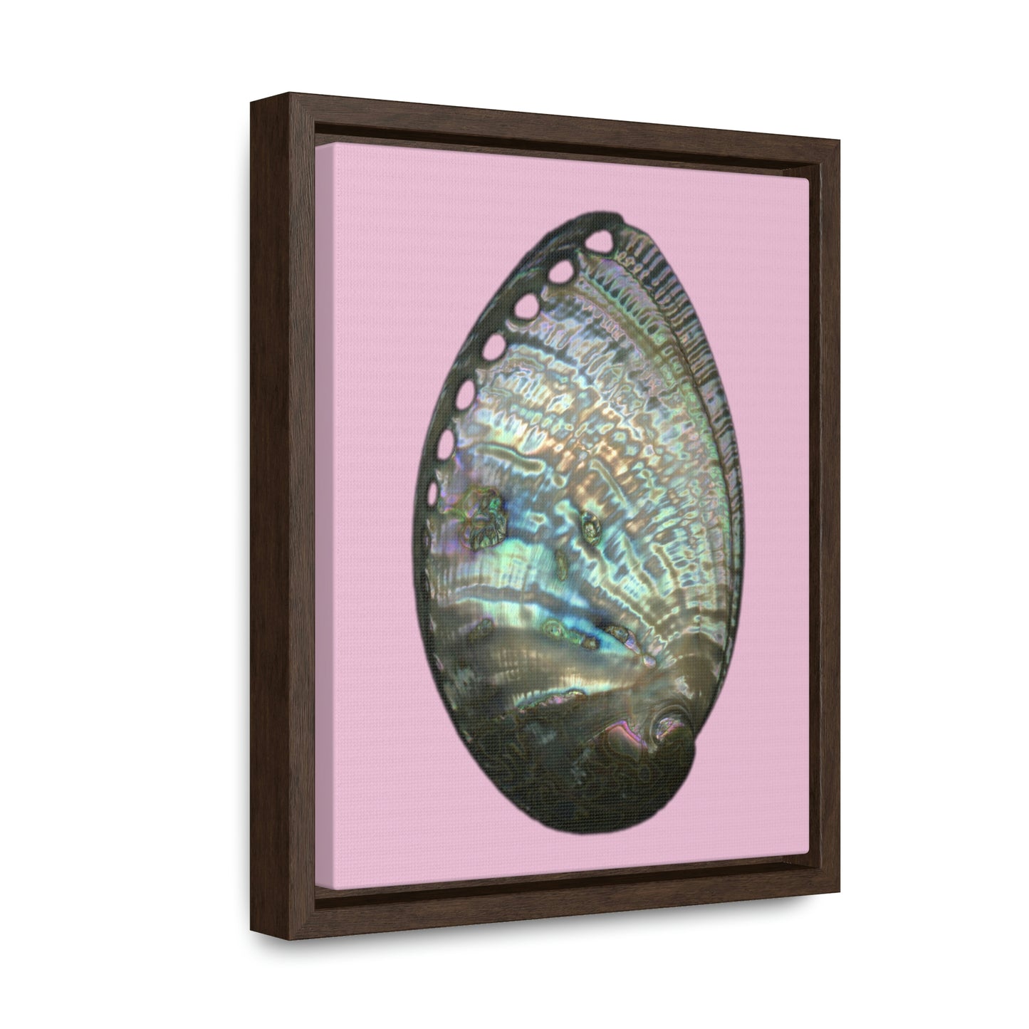 Abalone Shell Exterior | Framed Canvas | Orchid Pink Background