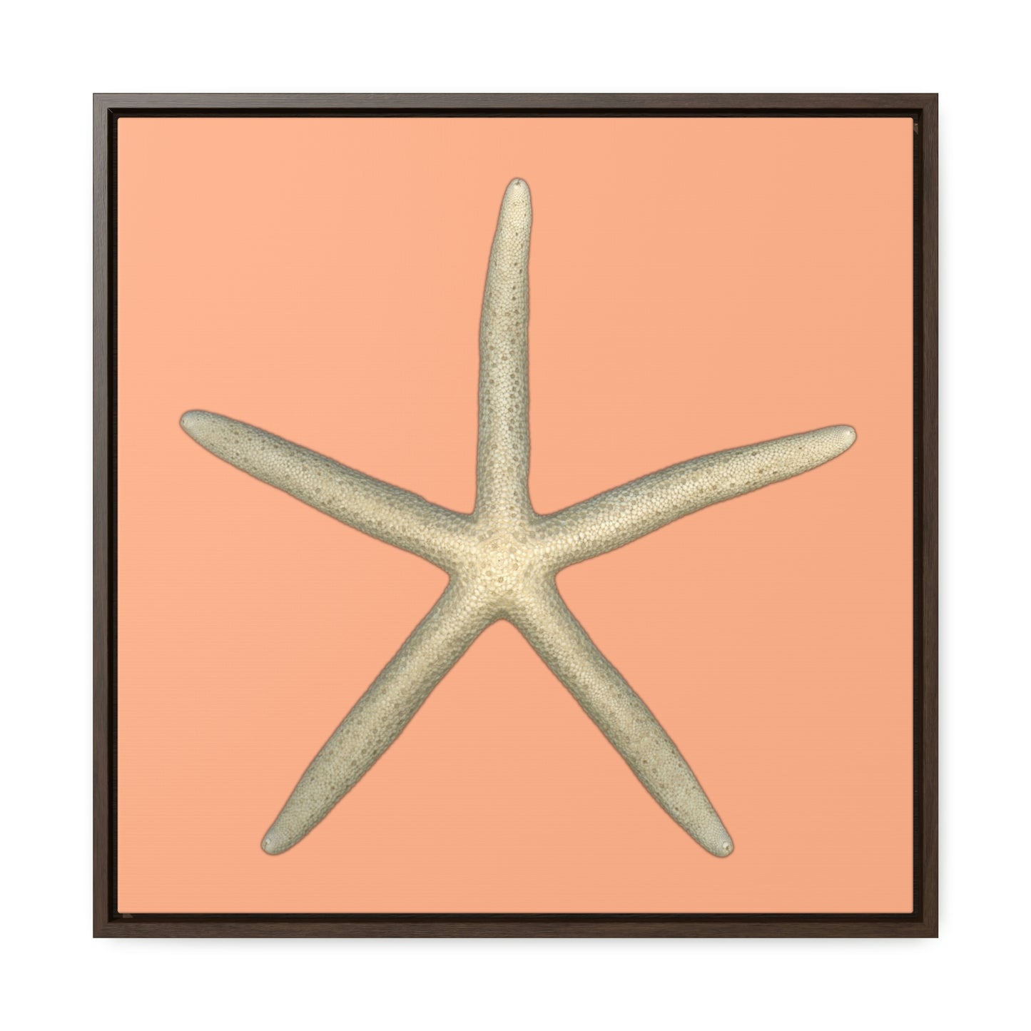 Finger Starfish Shell Top | Framed Canvas | Peach Background