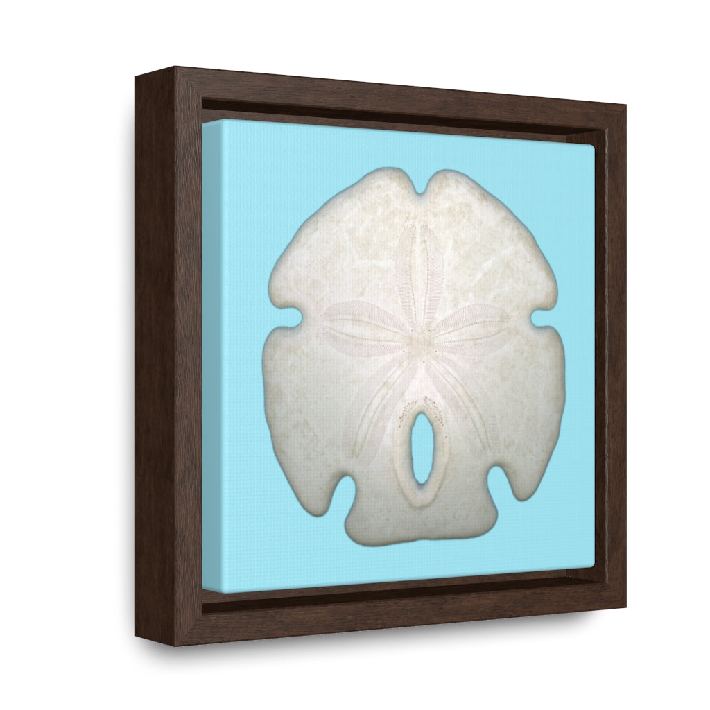 Arrowhead Sand Dollar Shell Top | Framed Canvas | Sky Blue Background
