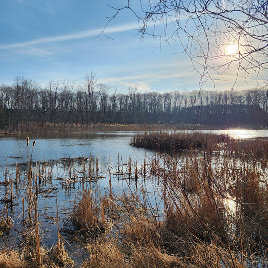 Hogback Lake, Dr. T.K. Lawless Park image by Matteo 20260321.