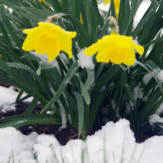 March - A Time of Transition