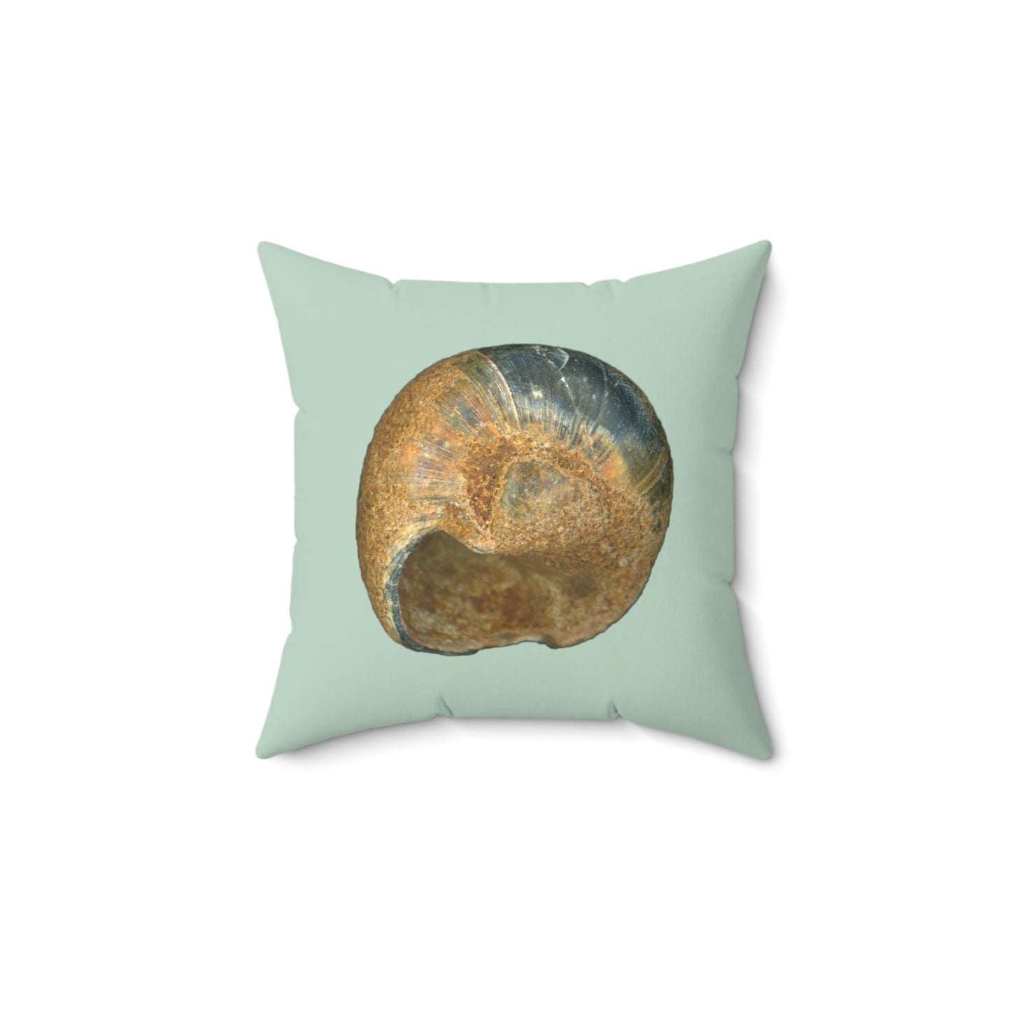 Throw Pillow | Moon Snail Shell Black & Rust | Sage | Back | 14x14 Oceancore Seacore Naturecore