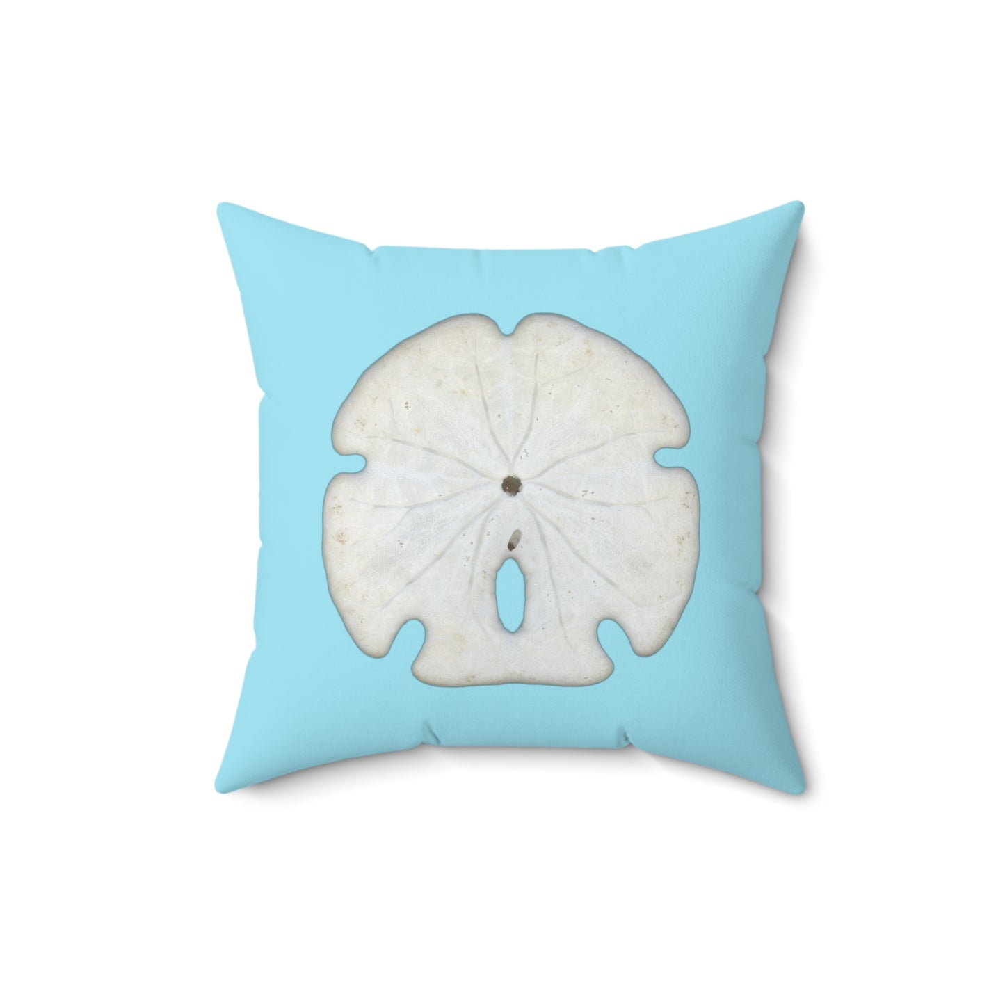 Throw Pillow | Arrowhead Sand Dollar Shell | Sky Blue | Back | 14x14 Oceancore Seacore Naturecore