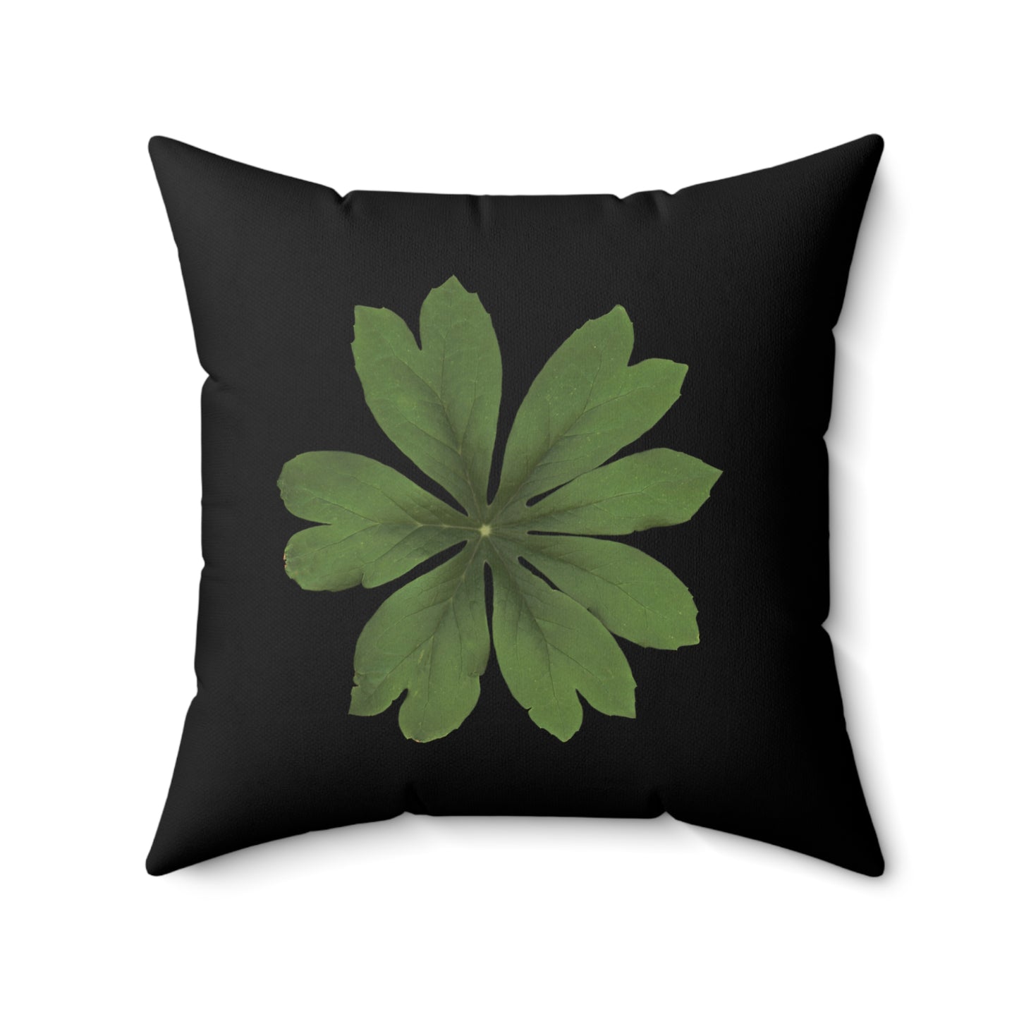 Mayapple, Podophyllum | Throw Pillow | Black