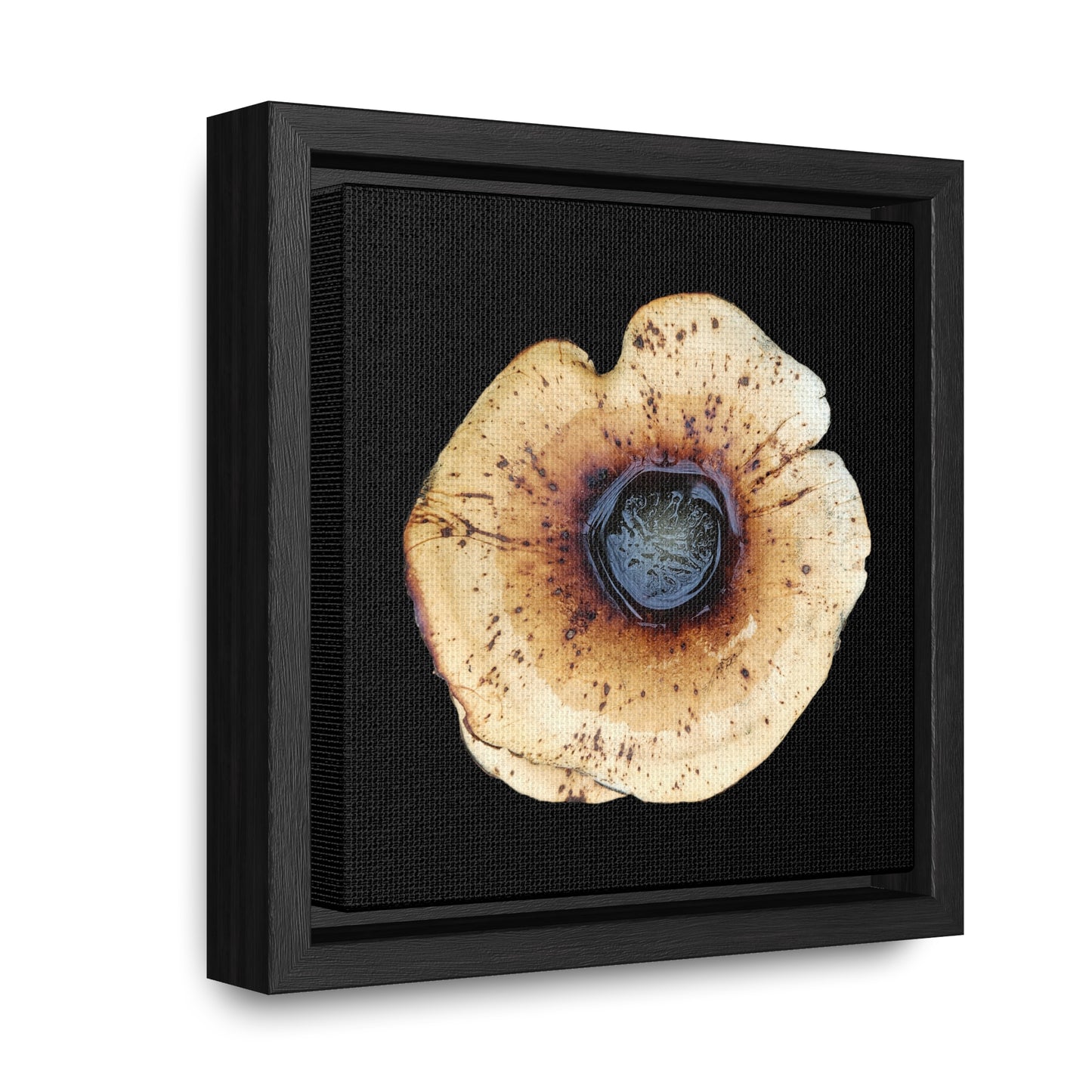 Honey Fungus, Armillaria | Framed Canvas | Black Background