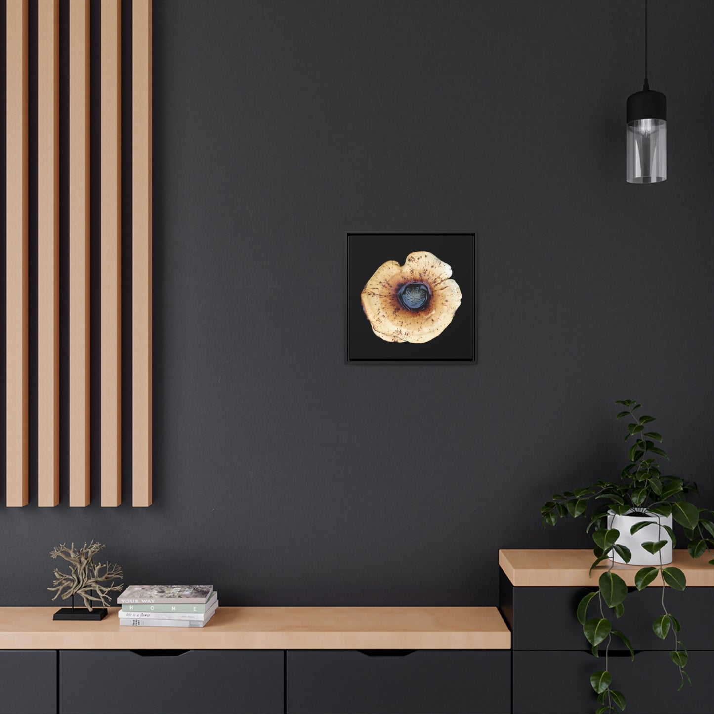 Honey Fungus, Armillaria | Framed Canvas | Black Background