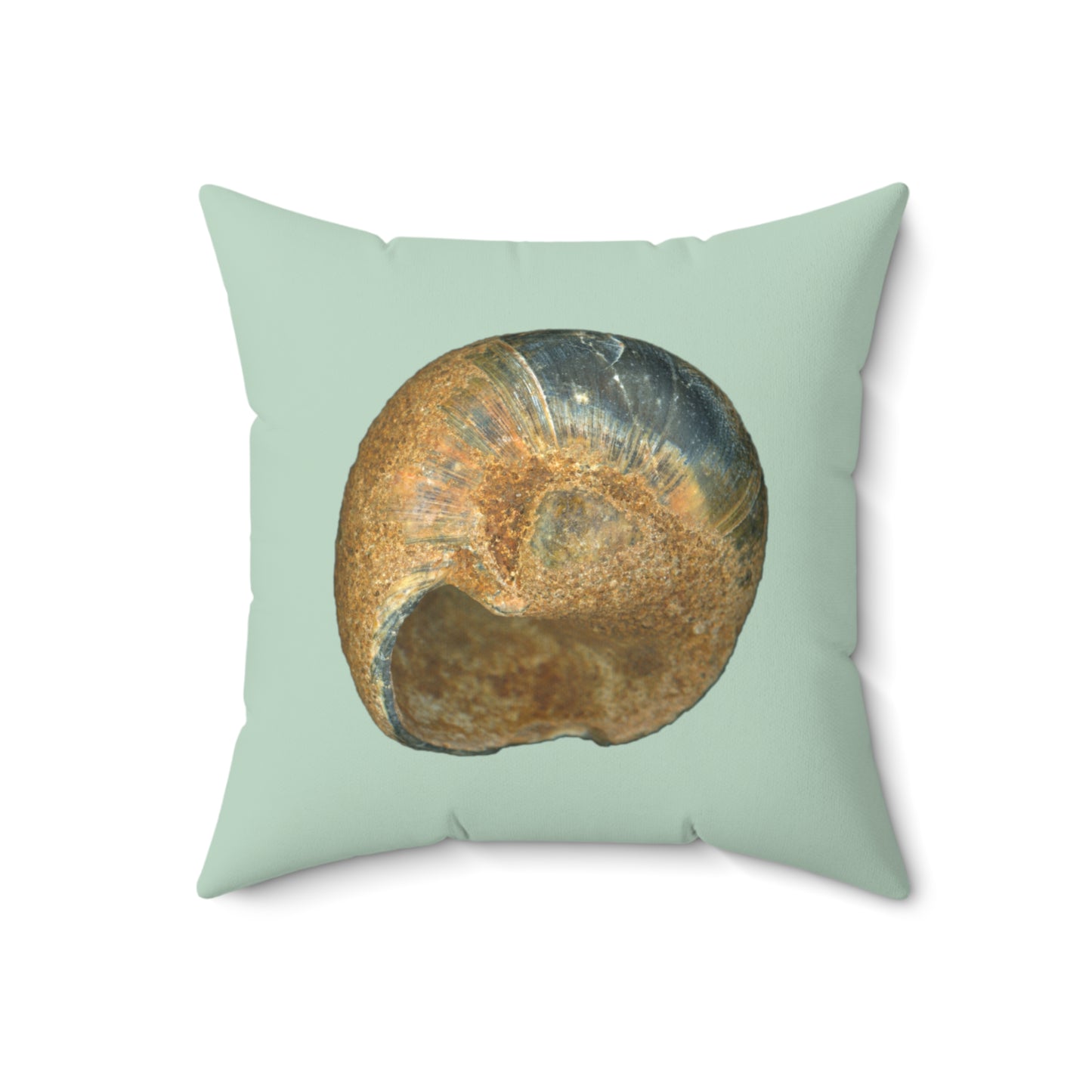 Throw Pillow | Moon Snail Shell Black & Rust | Sage | Back | 18x18 Oceancore Seacore Naturecore