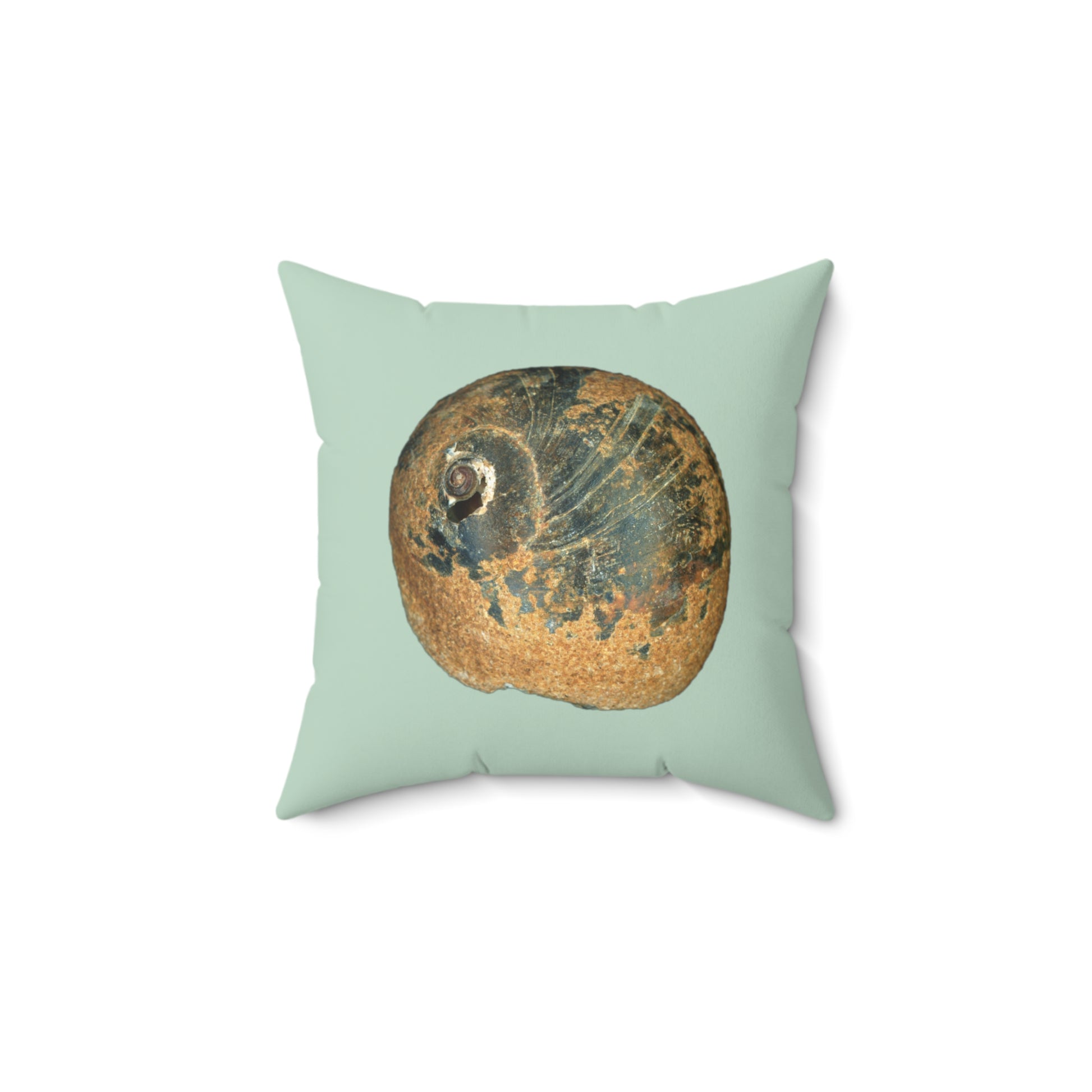 Throw Pillow | Moon Snail Shell Black & Rust | Sage | Front | 14x14 Oceancore Seacore Naturecore