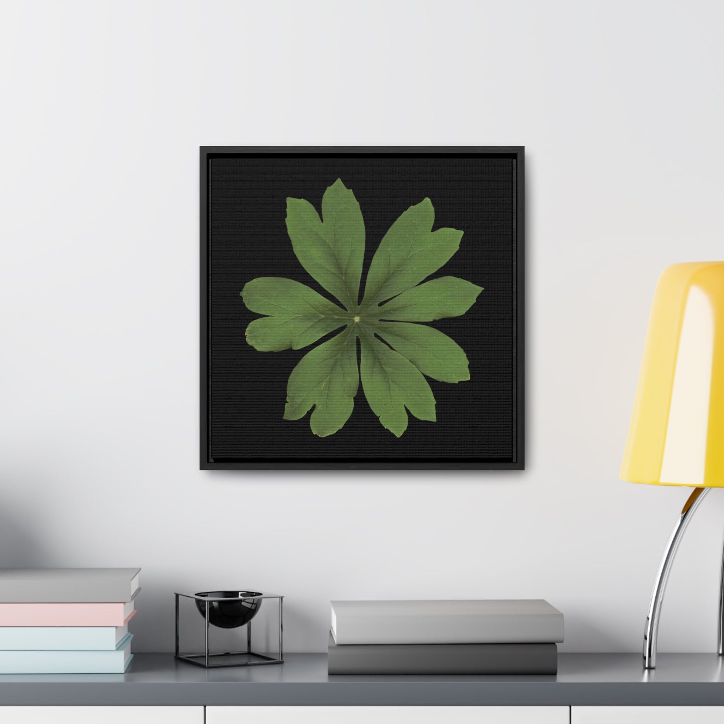 Mayapple, Podophyllum by Matteo | Framed Canvas | Black Background