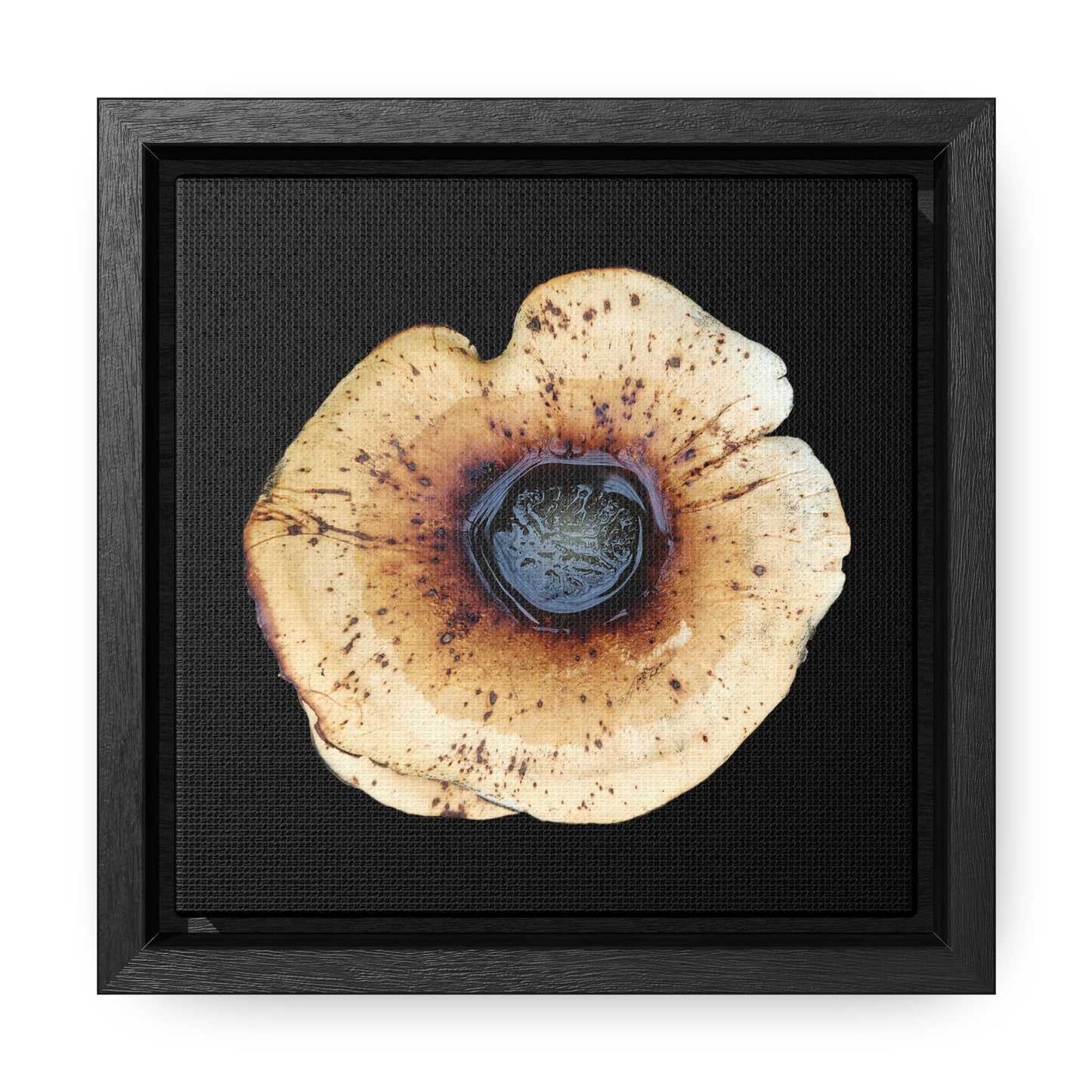 Honey Fungus, Armillaria | Framed Canvas | Black Background