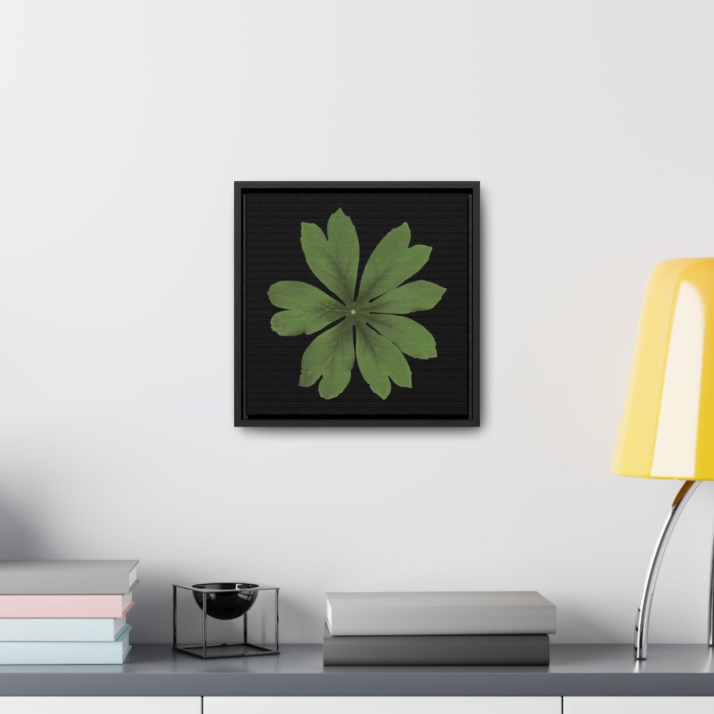 Mayapple, Podophyllum by Matteo | Framed Canvas | Black Background