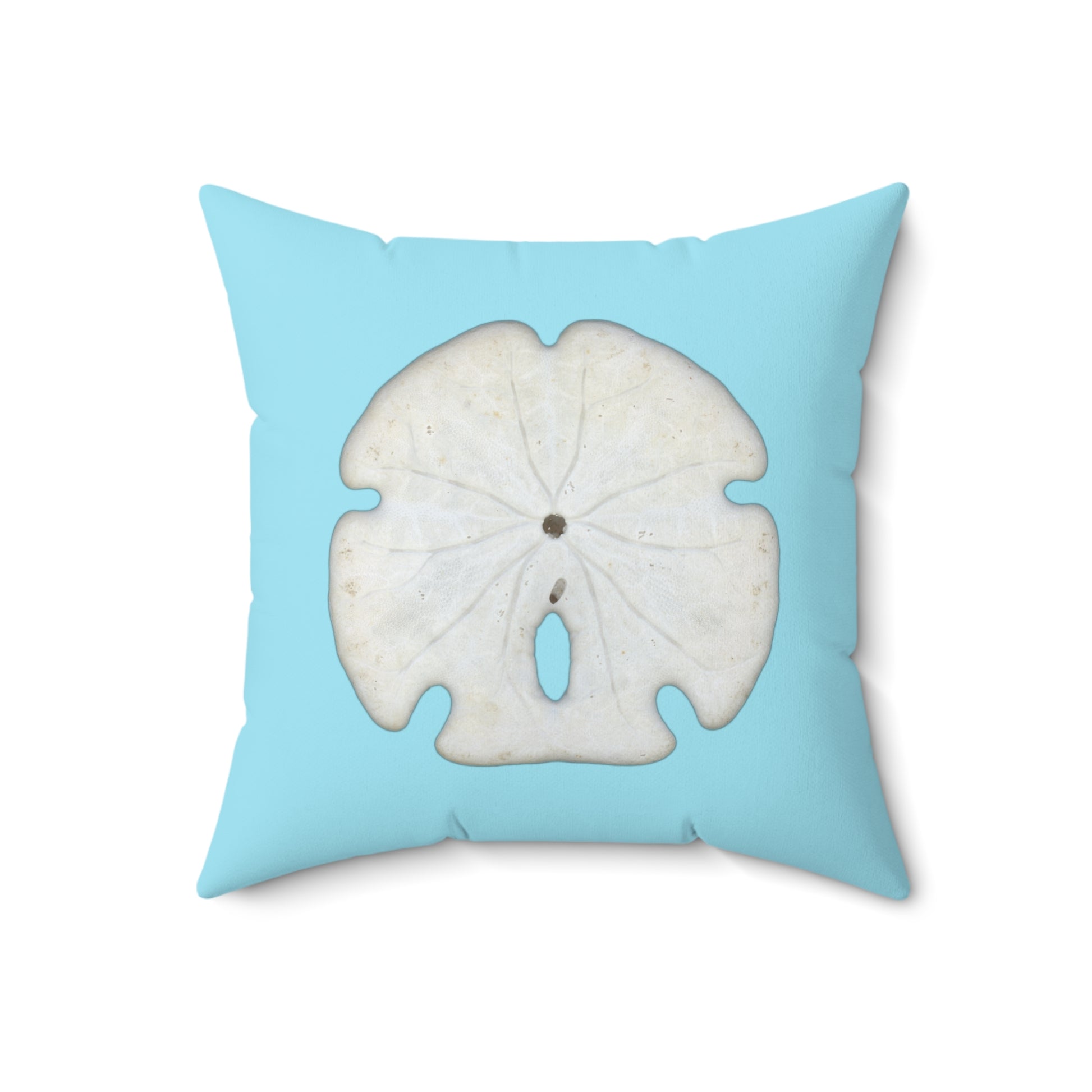 Throw Pillow | Arrowhead Sand Dollar Shell | Sky Blue | Back | 18x18 Oceancore Seacore Naturecore