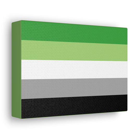 Aromantic Pride Flag | Canvas Print | Frog Green Sides