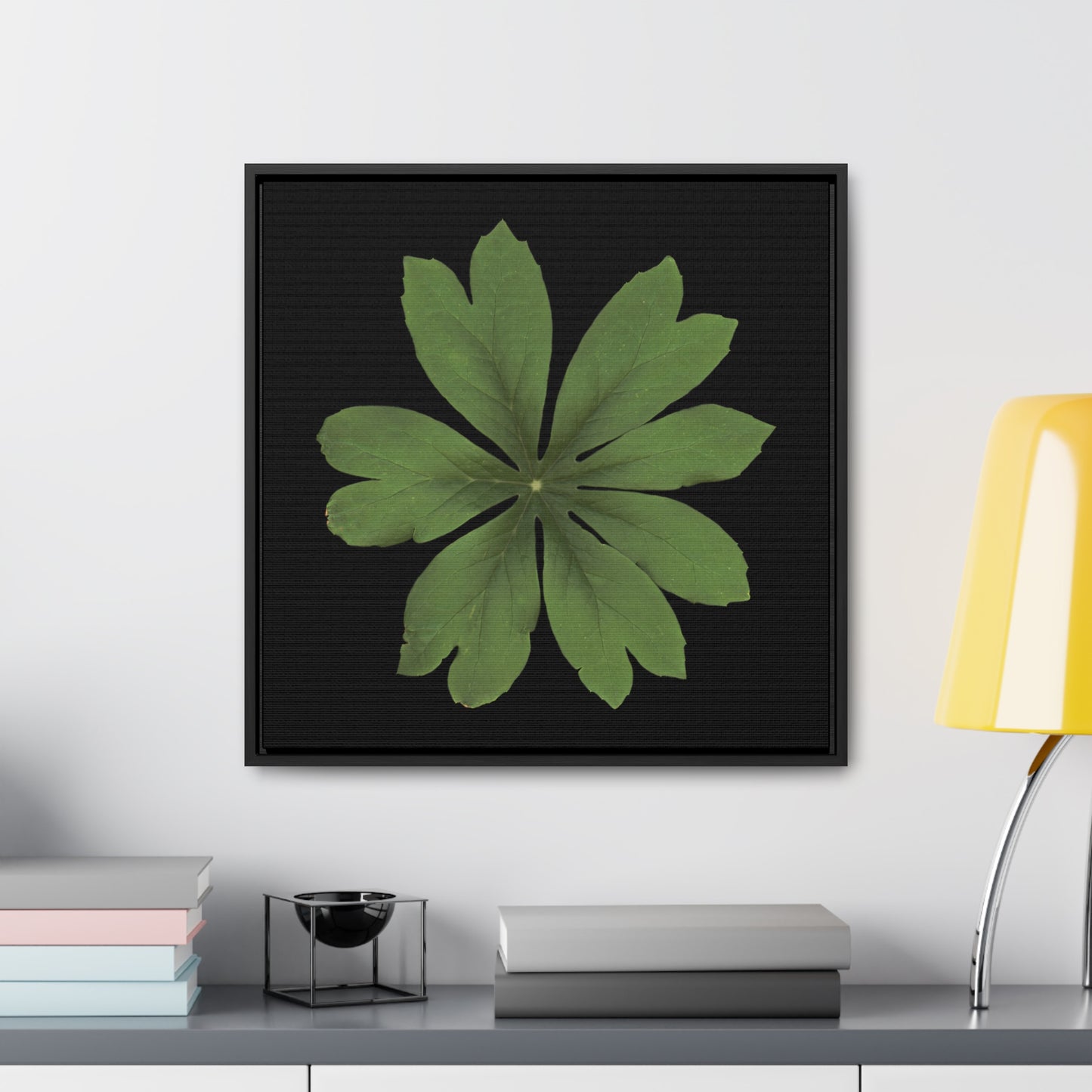 Mayapple, Podophyllum by Matteo | Framed Canvas | Black Background