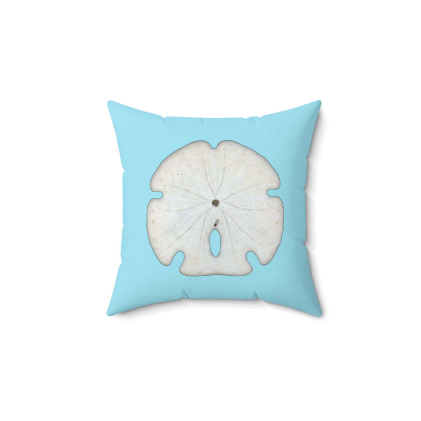 Throw Pillow | Arrowhead Sand Dollar Shell | Sky Blue | Back | 16x16 Oceancore Seacore Naturecore