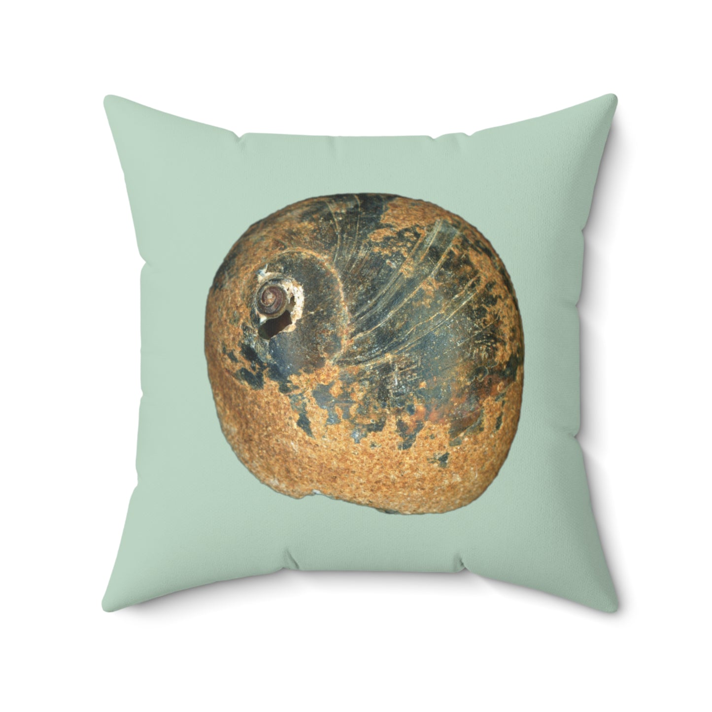 Throw Pillow | Moon Snail Shell Black & Rust | Sage | Front | 20x20 Oceancore Seacore Naturecore