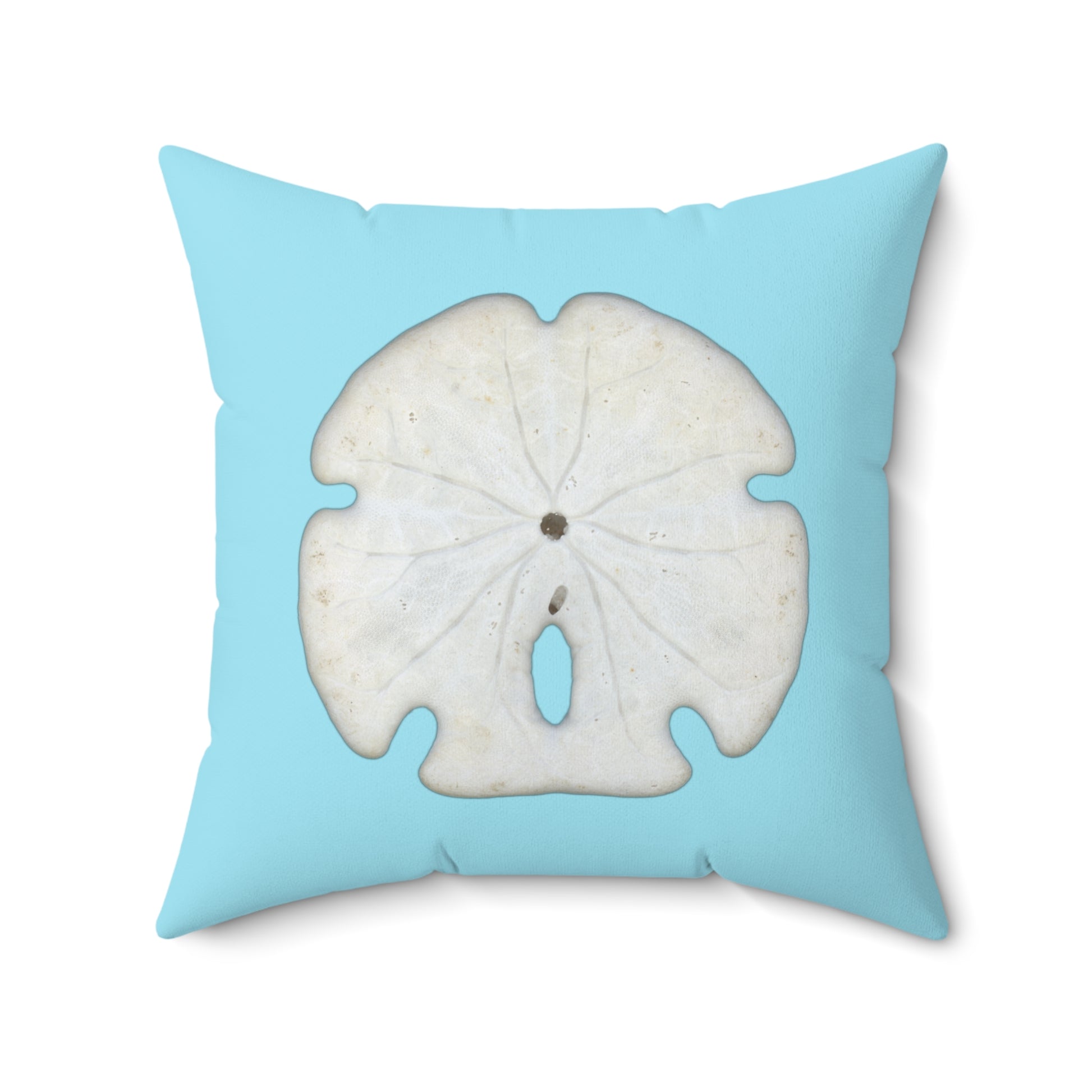 Throw Pillow | Arrowhead Sand Dollar Shell | Sky Blue | Back | 20x20 Oceancore Seacore Naturecore