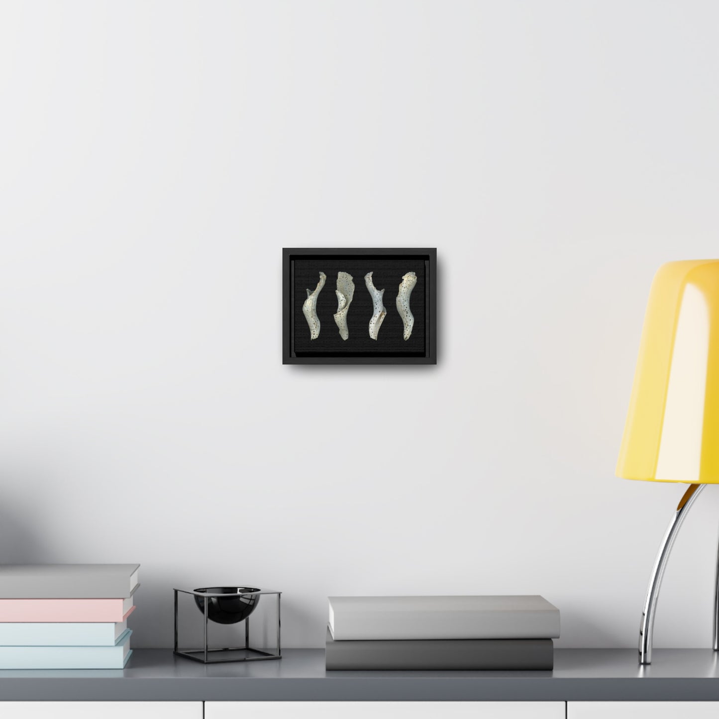 Spotted Shell White Four | Framed Wrap Canvas | Black Background