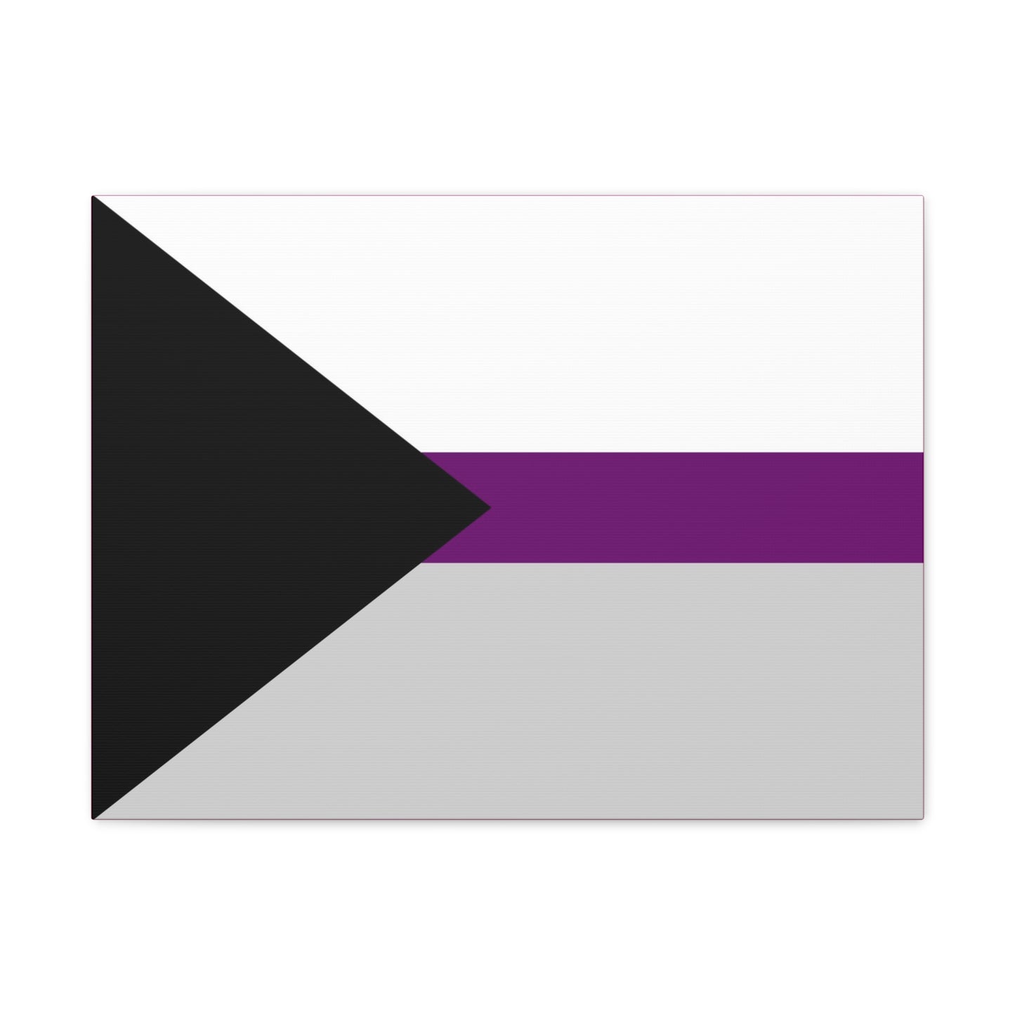 Demisexual Pride Flag | Canvas Print | Hot Pink Sides