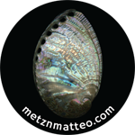 Abalone Shell Exterior | Magnet | 1in