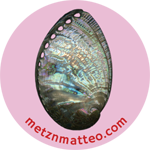 Abalone Shell Exterior | Magnet | 1in