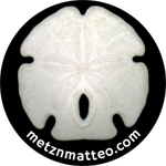 Arrowhead Sand Dollar Shell Top | Pinback Button | 1in