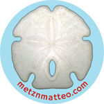 Arrowhead Sand Dollar Shell Top | Magnet | 1in