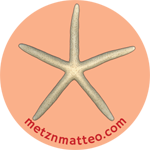 Finger Starfish Shell Top | Pinback Button | 1in