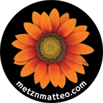 Gazania Flower | Pinback Button | 1in