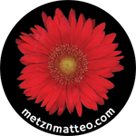 Gerbera Daisy Flower | Magnet | 1in